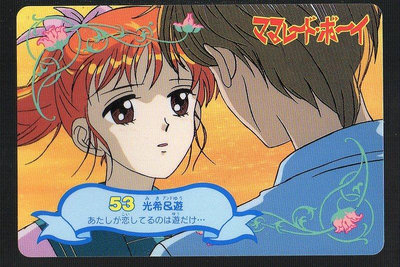 《CardTube卡族》(060930) 53 日本原裝橘子醬男孩 萬變卡∼ 1995年遊戲普卡
