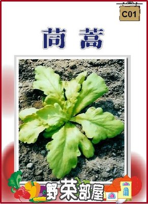【野菜部屋~】C01 茼蒿種子14.5公克 , 火鍋必備蔬菜 , 品質最佳 , 每包15元~