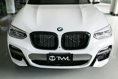 《※台灣之光※》BMW G01 X3 G02 X4專用 18 19 20年亮光黑 雙線 2線 水箱罩 鼻頭 水柵組