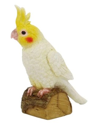 日本進口 鸚鵡動物鳥類擺件裝飾品送禮禮物 5706c
