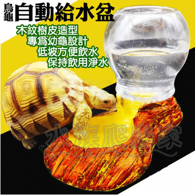 『水族爬蟲家』諾摩 NOMO 木紋自動給水器 補水器 附瓶子 飲水器 蓄水 喂水 陸龜 爬蟲 寵物 NS-67