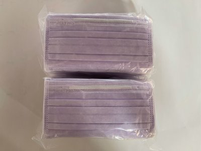 成人口罩 三層大人平面口罩 50入 台灣製 MIT 舜堡 紫色