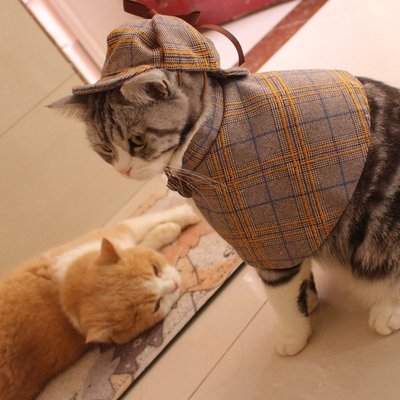 福爾摩斯·貓寵物偵探服斗篷帽子套裝搞笑貓咪衣服拍照可愛變身裝寵物衣服超夯 正品 現貨
