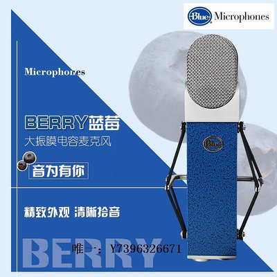 詩佳影音Blue Berry藍莓大振膜專用電容麥克風網紅主播話筒 K歌錄音棚設備影音設備