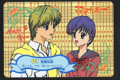 《CardTube卡族》(060930) 81 日本原裝橘子醬男孩 萬變卡∼ 1995年遊戲普卡