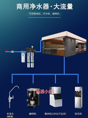 精品愛惠浦MC2雙聯凈水器 商用奶茶咖啡店專用大流量復合直飲水機過濾