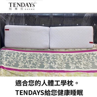 (已售出)百貨公司專櫃TENDAYs柔織舒壓枕 枕頭 TDS3-FP8(長 60 * 寬 31)