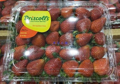 美兒小舖COSTCO好市多代購～進口空運 美國新鮮草莓(907g/盒)當季鮮採商品