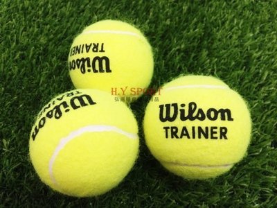 WILSON/SLAZENGER  網球 散裝（3顆組）（隨機出貨）