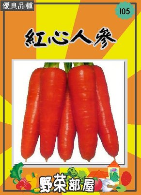 【野菜部屋~】I05日本紅心人參種子3.9公克 , 品質佳 , 每包15元~