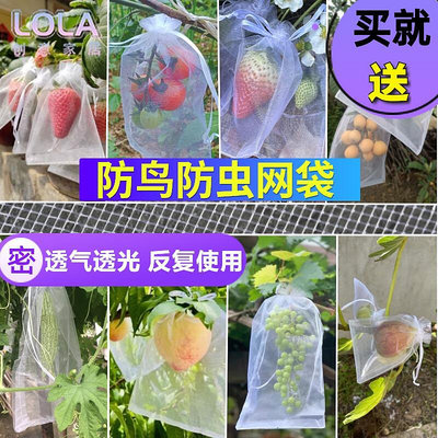 草莓藍莓水果網套袋防蟲防鳥吃套袋紗網袋葡萄無花果透氣瓜果套袋-LOLA創意家居
