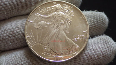 銀幣美國1993年早期行走女神拿花鷹洋1美元 1盎司投資銀幣 美洲錢幣
