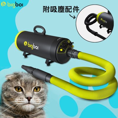 【bigboi MINI PLUS+】(寵物乾燥吹風機+專用吸塵配件) 吹水機 吹風機 寵物吹水機 寵物美容 寵物用品