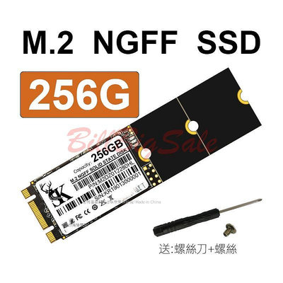 256GB (M.2 NGFF SATA SSD)全新5年保固 256G 2242 2260 2280 固態硬碟