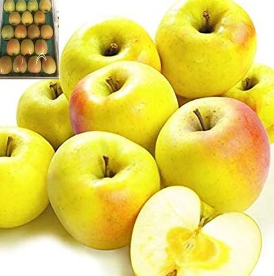 日本青森縣青蘋果36顆原裝進口1箱(10~11月)