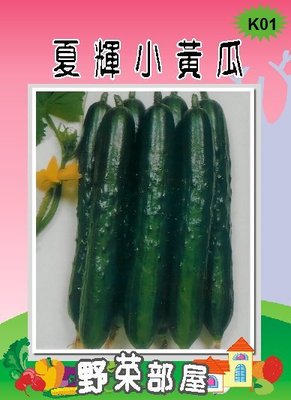 【野菜部屋~】K01 日本夏輝小黃瓜種子8公克(約305顆種子) ,多收品種 , 市場評價高~