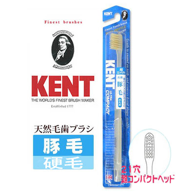 日本KENT IKEMOTO池本牙刷 豚毛強力潔牙刷(硬毛21穴)【津妝堂】4970270108217