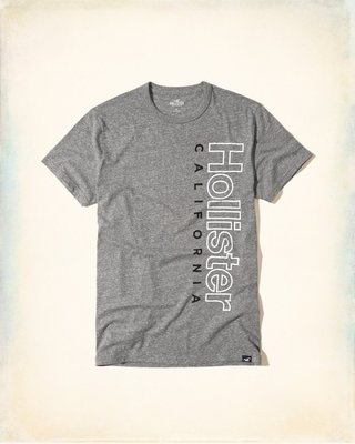 美國百分百【Hollister Co.】T恤 HCO 短袖 T-shirt 海鷗 上衣 logo 麻灰色 S號 I218
