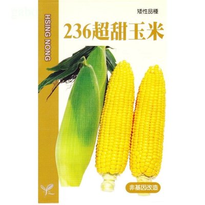 種子王國 236超甜玉米(矮性品種) 【蔬果種子】興農牌 每包約4公克