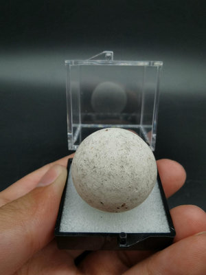 【二手】硅乳石Menilite Opal 球狀肝蛋白石天然礦物晶體稀 礦石 收藏 原石 【探幽坊】-937
