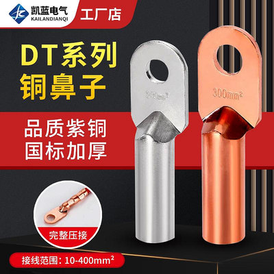 DT銅鼻子接線端子電線銅線鼻子鍍錫堵油銅接頭25/35/50平方銅線耳滿200出貨