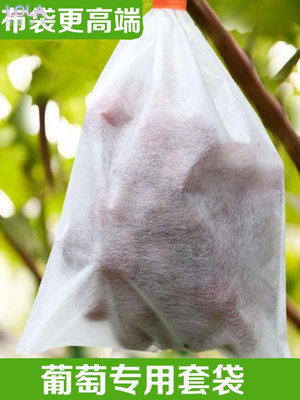 葡萄專用套袋防鳥罩防果蠅無紡布枇杷蔬菜瓜果水果防水防雨保護袋-LOLA創意家居