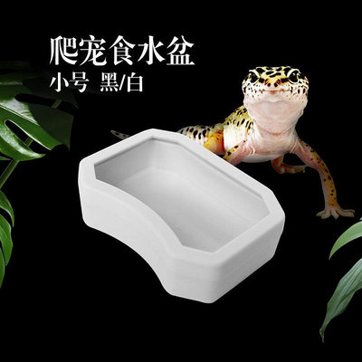 飼養箱諾摩塑料新品NW-23小型爬寵守宮玩具蛇角蛙食水盆爬箱造景喂食盆