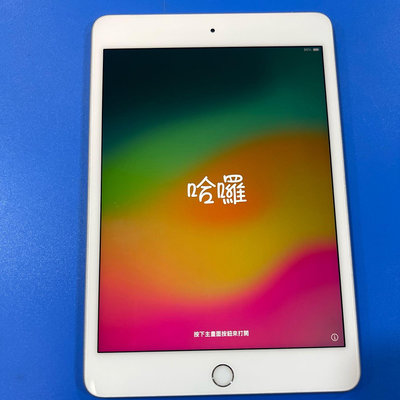 ＊手機航＊Apple iPad Mini 5 WiFi LTE 64G 256G 2019年（7.9吋）