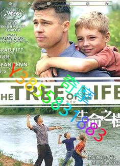 DVD 專賣店 生命之樹/生命樹/永生樹/家譜/The Tree of Life