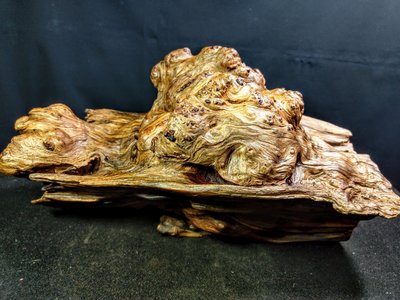 黃檜倒格釘仔樹瘤花 專業上漆  裝置擺飾  有肉身可雕刻  重約2340g
