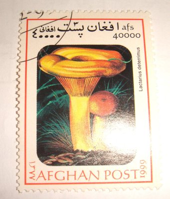 阿富汗(舊票) 草菇 afs40000 1999年