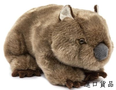 現貨超可愛 柔順 澳洲 袋熊 動物玩偶絨毛絨娃娃布偶擺件送禮品禮物可開發票