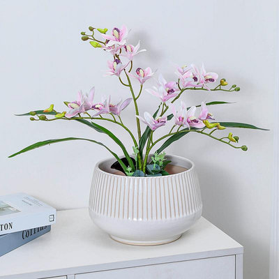 溜溜陶瓷花盆室內客廳北歐白色精致大口徑蘭花君子蘭蝴蝶蘭種花盆
