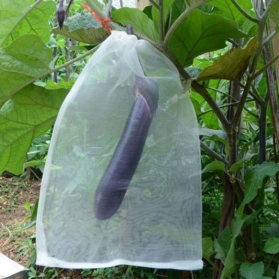 上新 水果防蟲保護袋果樹套袋紙袋菠蘿蜜加密菜地南瓜網袋百香果~優惠價