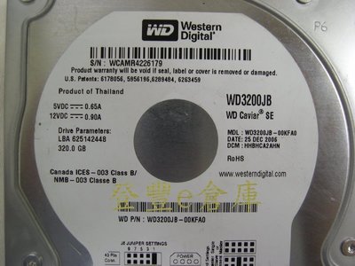 【登豐e倉庫】 YF132 WD3200JB-00KFA0 320G IDE 硬碟