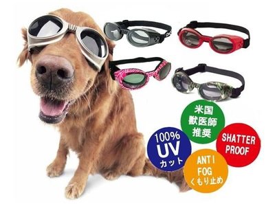 貝果貝果 K9 超夯 抗UV 太陽眼鏡小型犬 - 夏季必敗  M [A2318]