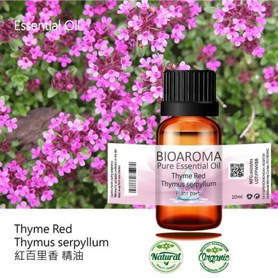 【純露工坊】紅百里香精油Thyme Red - Thymus serpyllum  100ml