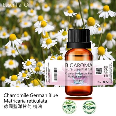 【芳香療網】Chamomile German Blue 德國藍洋甘菊(法國)精油 10ml