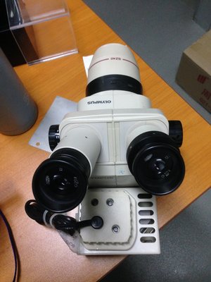 浩宇光學 OLYMPUS 實體顯微鏡