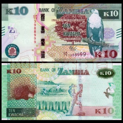 森羅本舖 現貨實拍 尚比亞 10 克瓦查 2018年 人頭 老鷹 現貨 無折 真鈔 紙鈔 贊比亞 具收藏價值商品