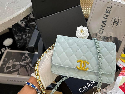 【包包】皮Chanel 23s 新品woc絕美純色鏈條 我的夢中情包時裝休閑 不挑衣服尺寸20 13cm NO.66448