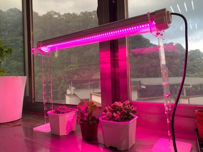 植物燈 led植物燈 臺灣製造 保固一年 防水型 LED 紅藍混光 植物生長 3呎 燈管 三防燈 防水燈管