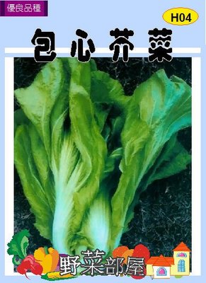 【野菜部屋~】H04包心芥菜種子4.6公克 , 長年菜, 每包15元~