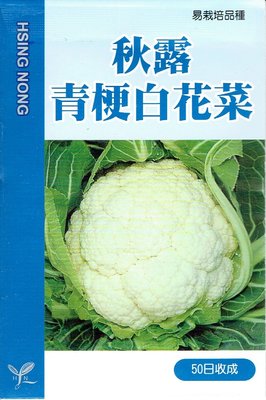 秋露青梗白花菜 (花椰菜) 【蔬果種子】興農牌 每包約1公克