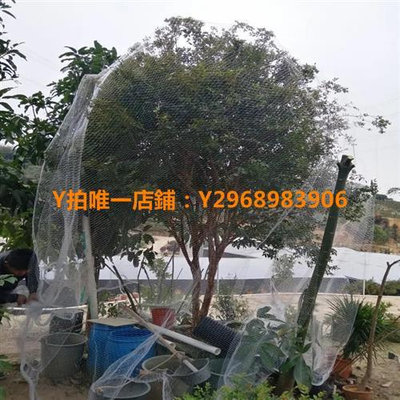 防蟲袋 防鳥網罩果園櫻桃嘉寶果樹農業用網葡萄天網水果植物防護紗網絲網