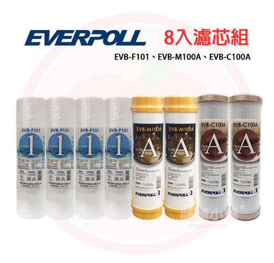 ❤頻頻小舖❤ EVERPOLL 愛科濾淨 8入 濾心組 EVB-F101 M100A C100A PP 樹脂濾心 CTO
