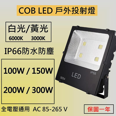 【現貨】LED COB戶外投射燈 100W 150W 200W 300W IP66