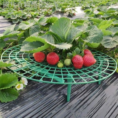 草莓架果實托盤支柱 園藝花架塑膠直徑30釐米高4可重複使用可裁剪~特價