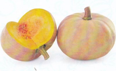 【蔬菜種子S221】圓奶油南瓜~~果實厚扁型，果重約3公斤，播種至採收約95天。