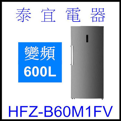 【泰宜電器】HERAN禾聯 HFZ-B60M1FV 600L 直立式冷凍櫃【另有HFZ-B5011F GR-DL88SV】